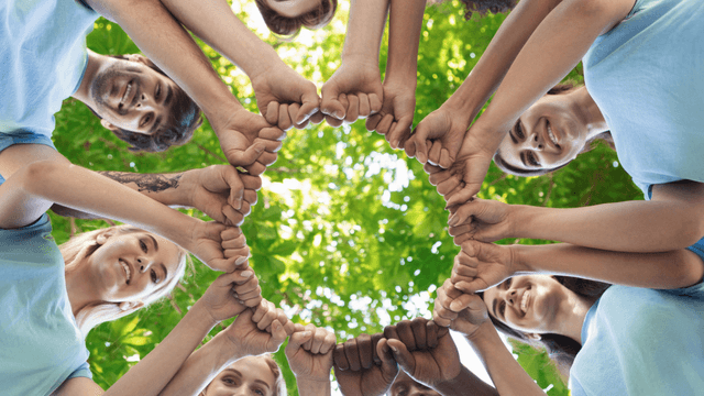 Activité team building (à définir)